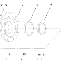 cone-bearing